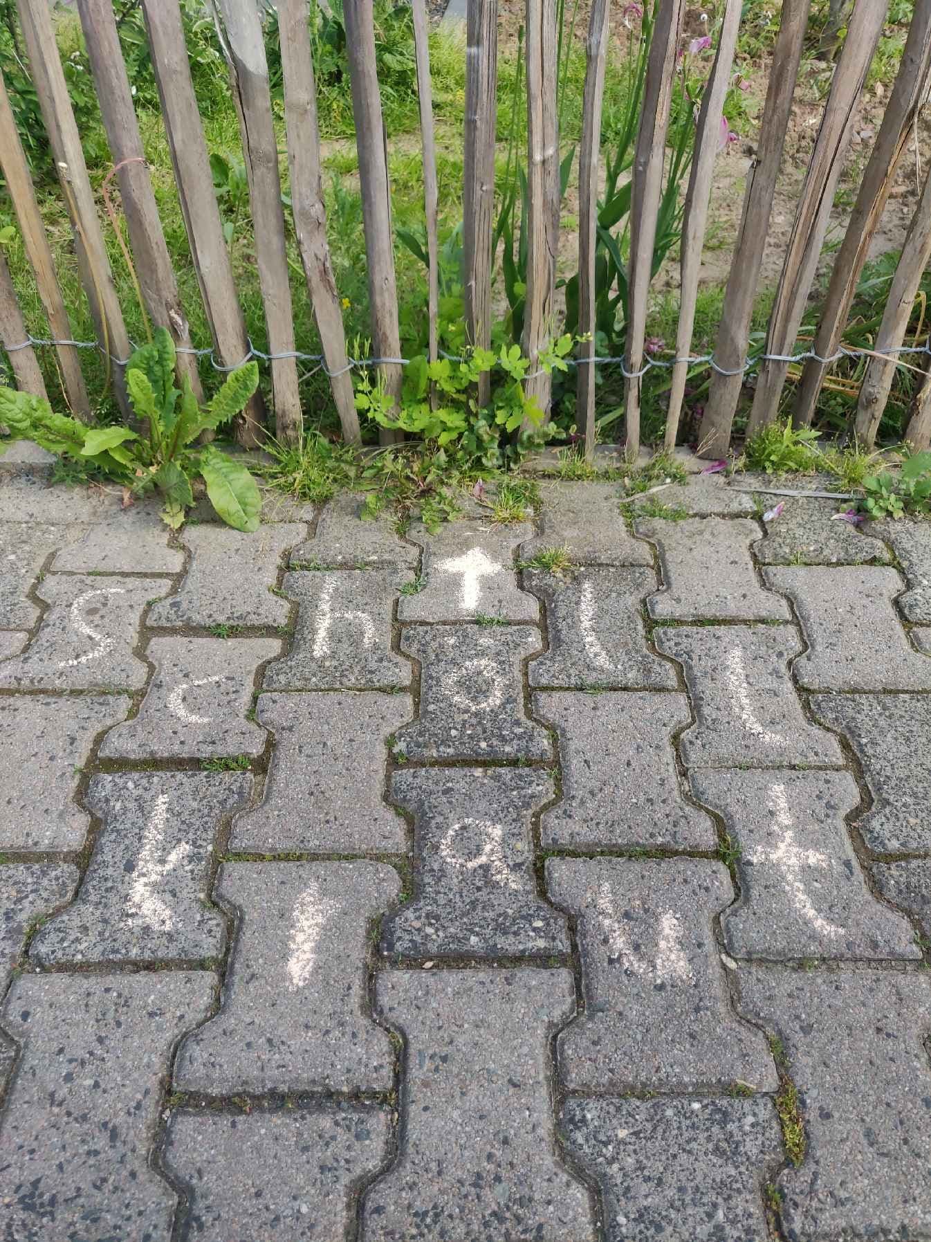 #Krautschau